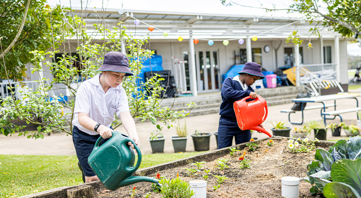Lachlan (2024 School Vice Captain)