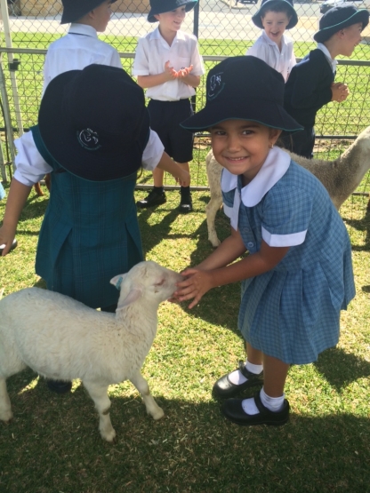 Tahnia enjoyed touching the little lamb.  