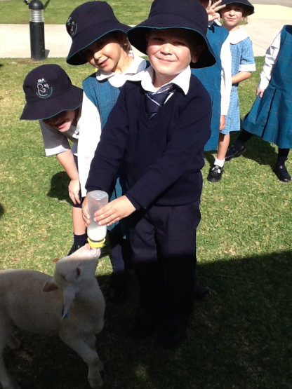 Solomon bottle feeding the little lamb.