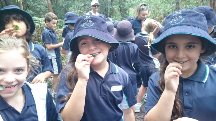 Lucy, Amelia and Sienna tasting some leaves