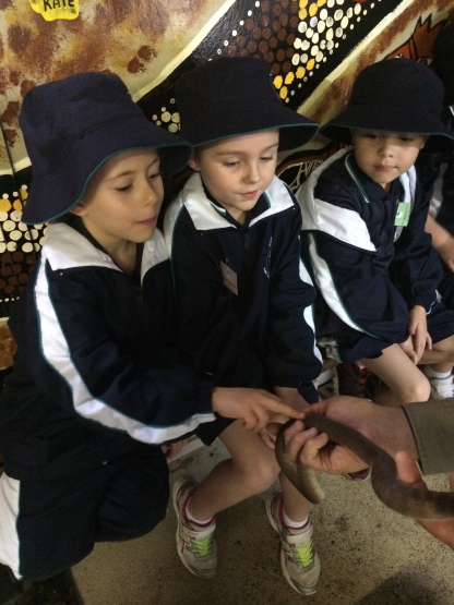 Grace, Maddison and James touching a snake.