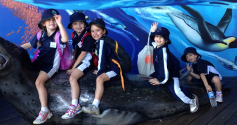 Another group of students enjoying the zoo.