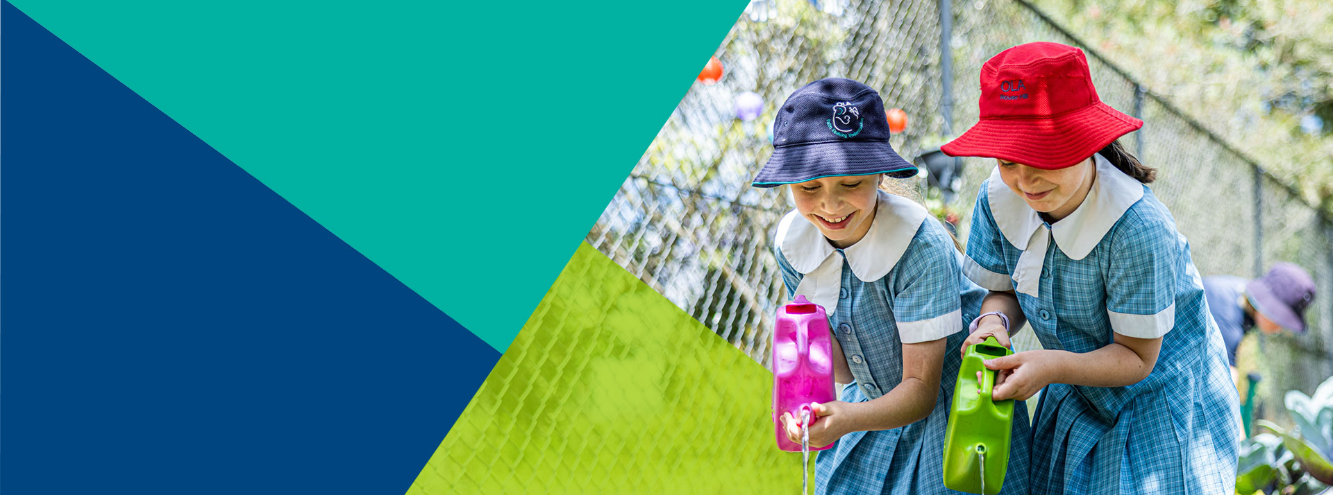 Planting seeds for future success