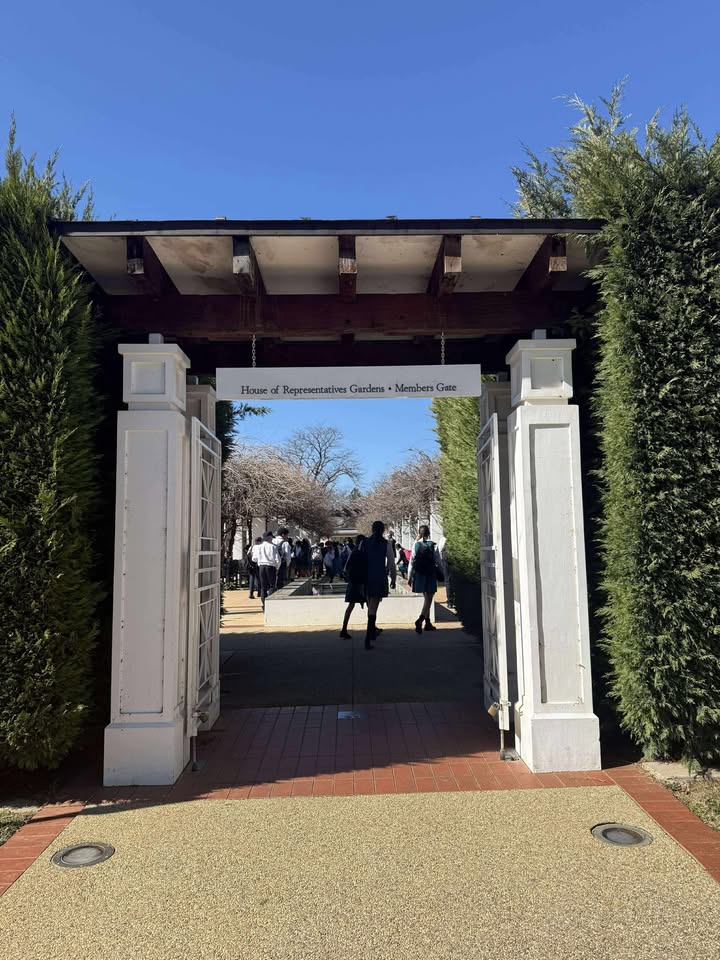 644505044136076_1354579323128641-1