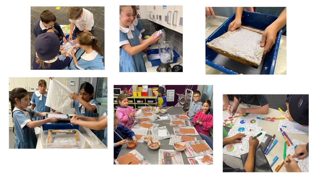 644505044136076_1459490779304161-1