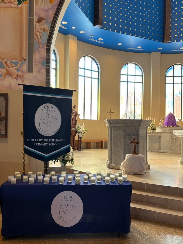 644505044136076_1473771094542796-1