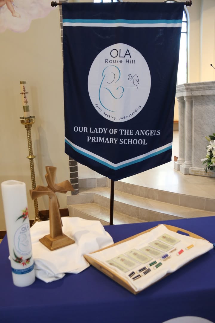 644505044136076_1517298573523381-1