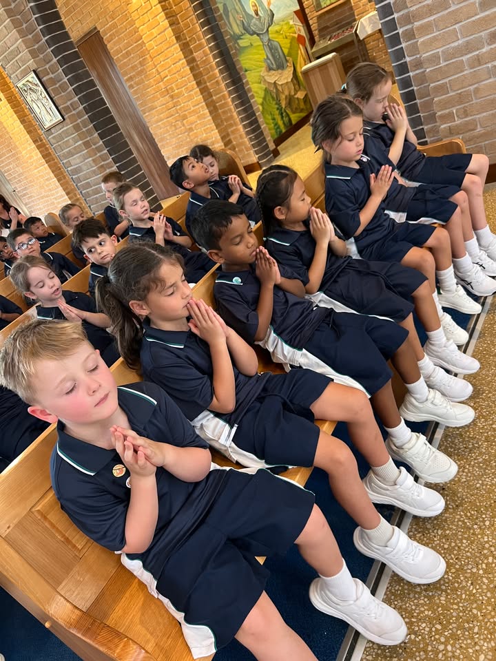 644505044136076_1518308693422369-1