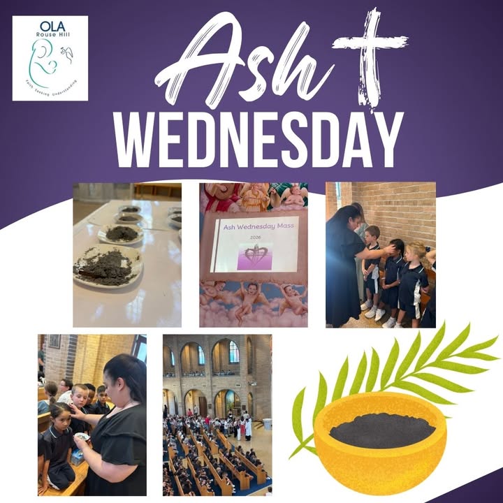 644505044136076_1526431835943388-1