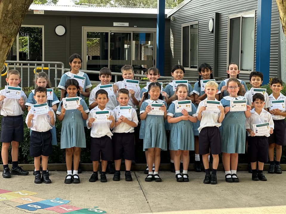 644505044136076_1551571103429461-1