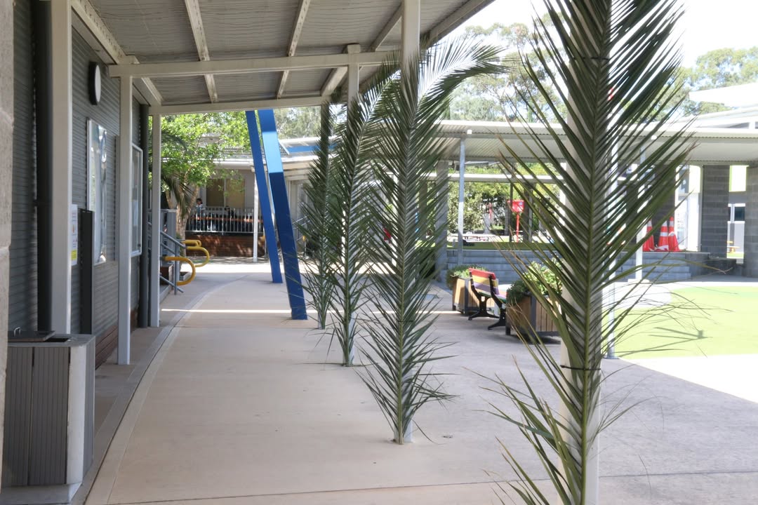 644505044136076_1562289505690954-1