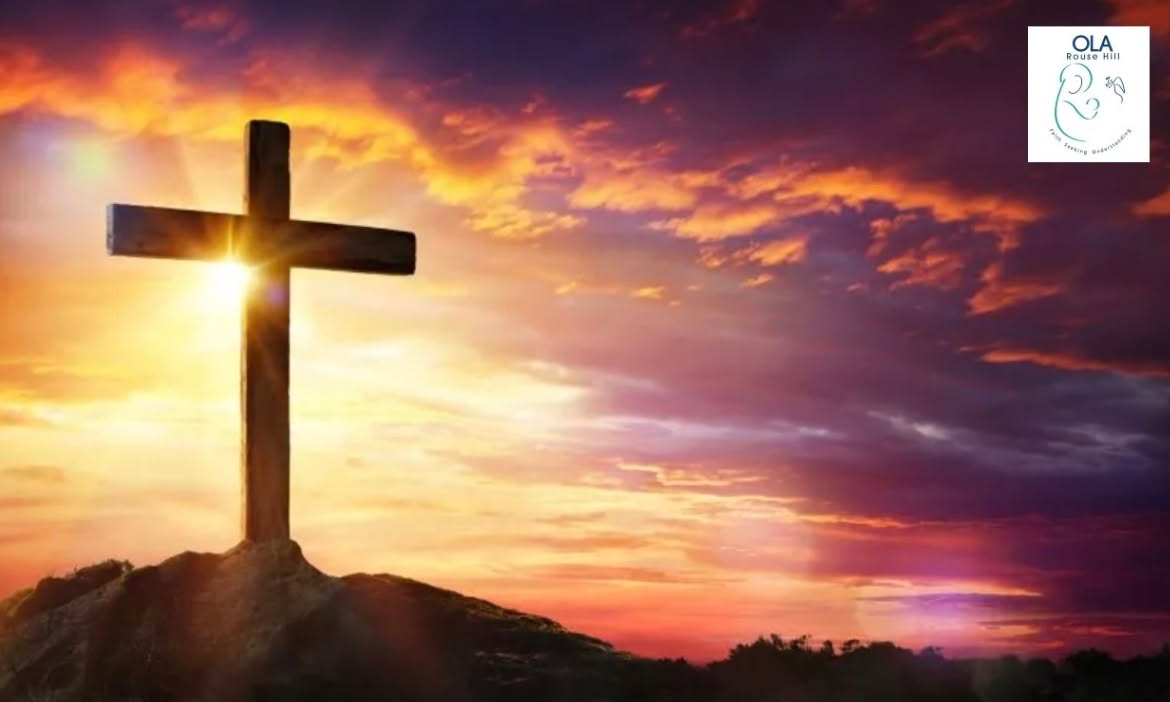 644505044136076_1562815615638343-1