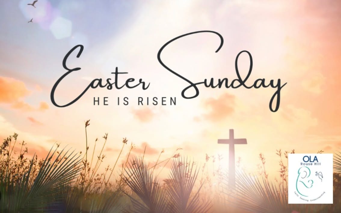 644505044136076_1564515528801685-1