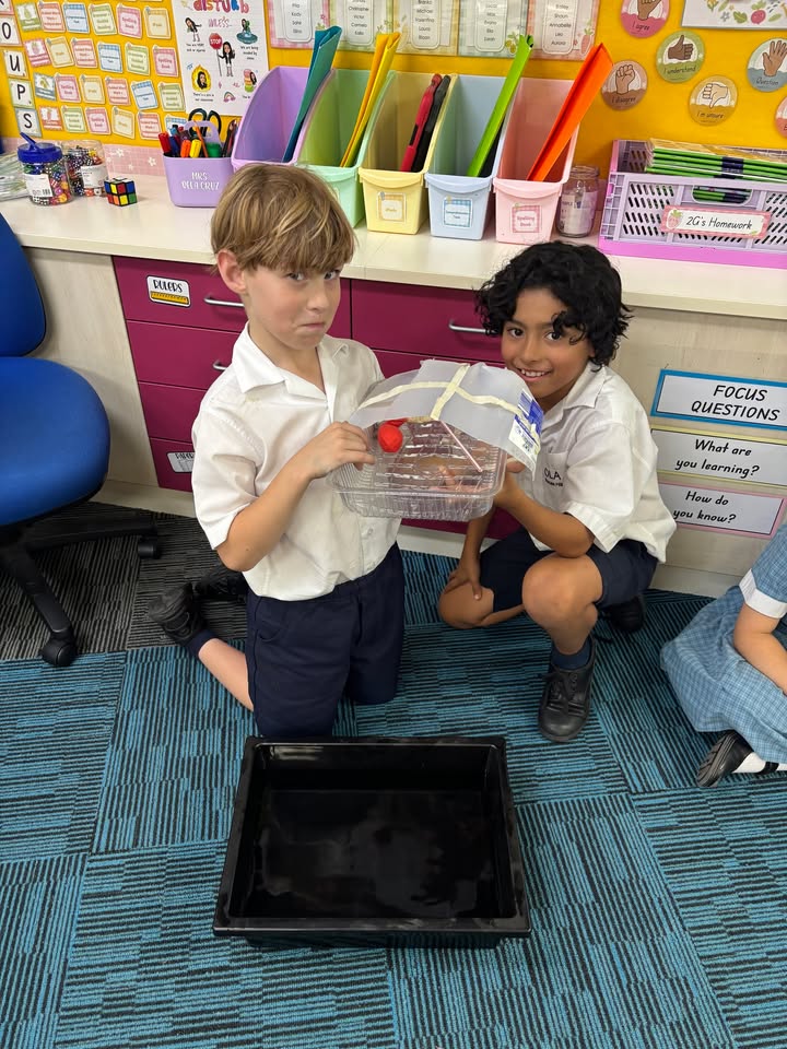 644505044136076_1575145791071992-1