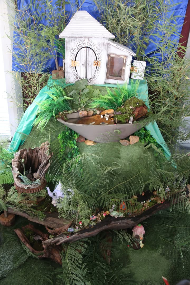 644505044136076_1585359870050584-1